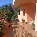 Happy Days * Tirós