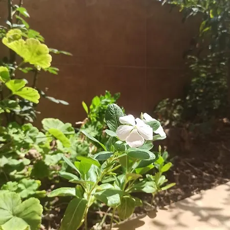 Happy Days Τυρός