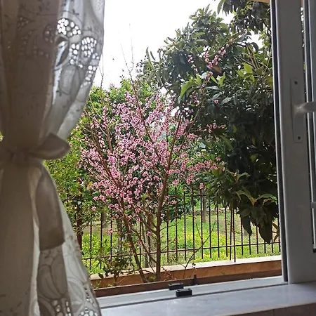 Happy Days Τυρός