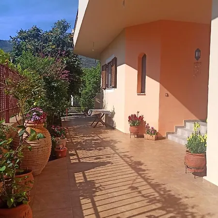 Happy Days * Τυρός