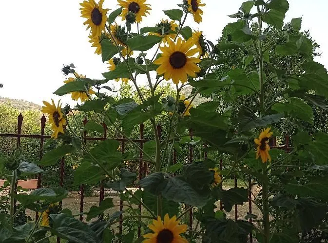 Apartamento Happy Days Tirós